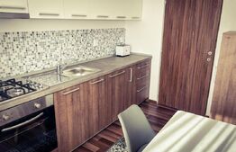 Apartament cu un design deosebit,  60 mp utili, garaj, strada Maramuresului