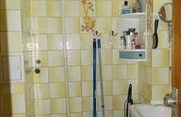 Vanzare apartament 3 camere, boxa, garaj, zona Parcului Central