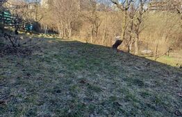  Teren 560mp in autorizare casa individuala 158 mp , cart ANDREI MURESANU !