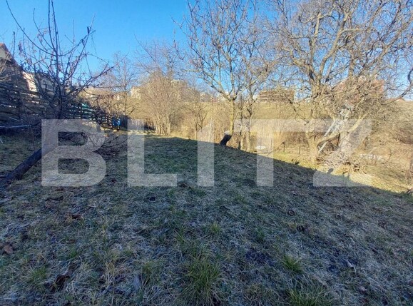Teren de vânzare Andrei Mureşanu - 167801TV | BLITZ Cluj-Napoca | Poza2