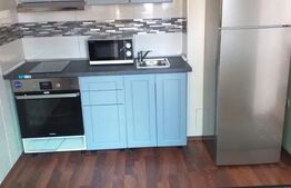 Apartament cu 1 camera, semidecomandat, 40 mp, cheltuieli incluse, zona Marasti