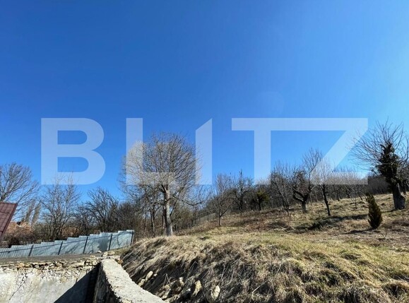 Casa de vânzare 2 camere Exterior Sud - 167833CV | BLITZ Cluj-Napoca | Poza3