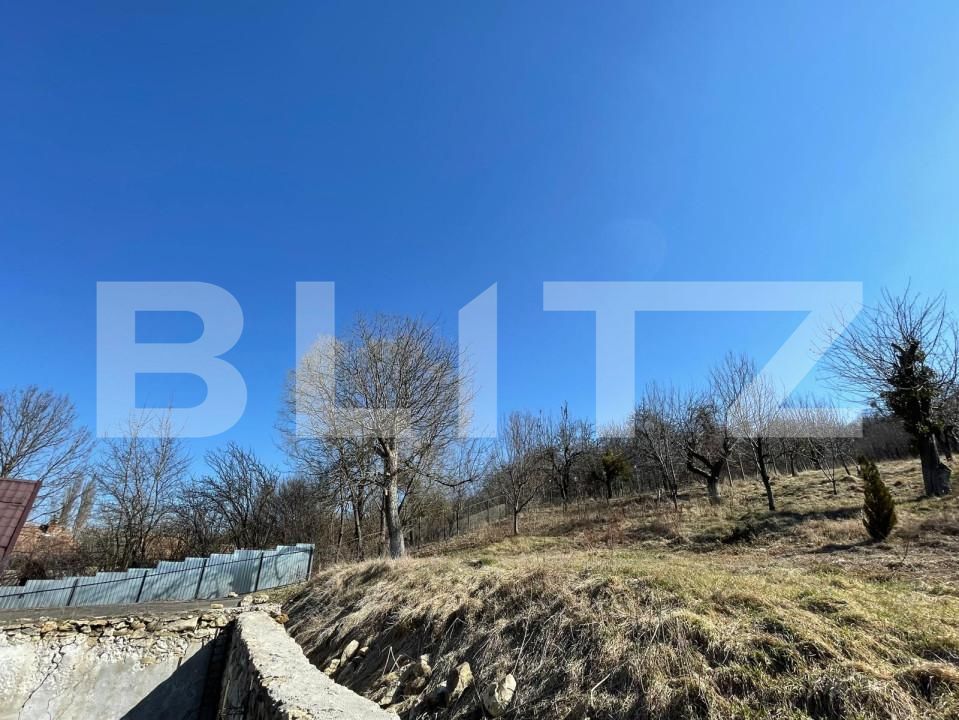 Casa de vânzare 2 camere Exterior Sud - 167833CV | BLITZ Cluj-Napoca | Poza3