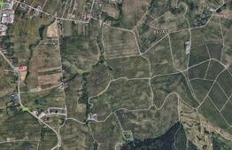 EXCLUSIVITATE! Teren intravilan, 2500 mp, utilitati, zona Colonia Becas!