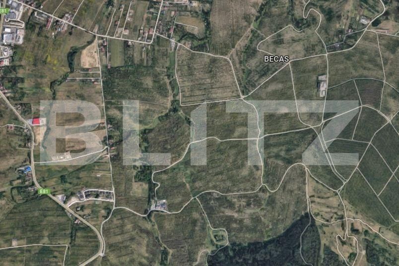 Teren de vânzare Becaş - 167860TV | BLITZ Cluj-Napoca | Poza2