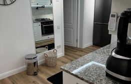 Casa individuala de vanzare, cu 3 camere, 100 mp, zona Gruia 