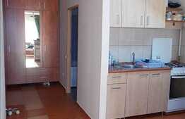 Vanzare apartament 1 camera, 38 mp, complet mobilat, zona strazii Campului