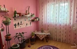 Apartament cu 3 camere, 53 mp,balcon, zona Big