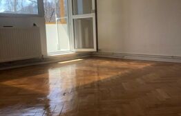 Apartament de vanzare, cu 2 camere, luminos, renovat, zona Astra
