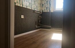 Apartament de vanzare, cu 2 camere, luminos, renovat, zona Astra