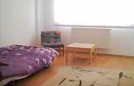 1 camera, 40 mp, imobil nou, mobilat dragut, zona Calea Turzii!