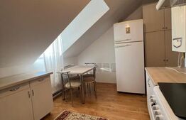Apartament generos la mansarda, 2 camere, 54 mp, zona Gheorgheni