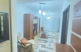 Apartament cu o camera, 40 mp, zona FSEGA