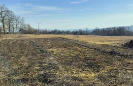 Teren intravilan 5800 mp, Chinteni, sat Padureni, pentru dezvoltare imobiliara!