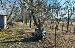 Teren intravilan 5800 mp, Chinteni, sat Padureni, pentru dezvoltare imobiliara!