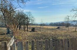 Teren intravilan 5800 mp, Chinteni, sat Padureni, pentru dezvoltare imobiliara!