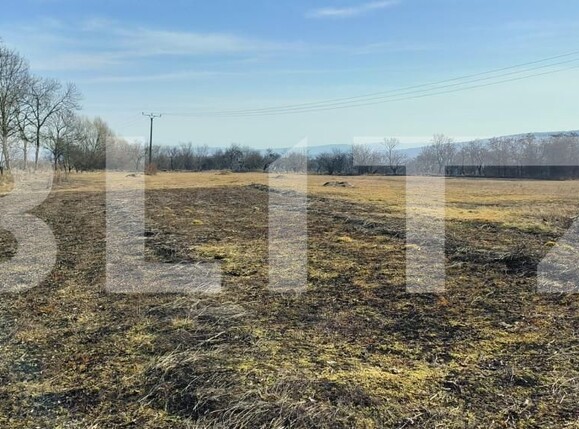 Teren de vânzare Chinteni - 168016TV | BLITZ Cluj-Napoca | Poza9