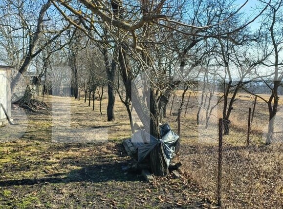 Teren de vânzare Chinteni - 168016TV | BLITZ Cluj-Napoca | Poza8
