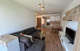 Apartament cu 2 camere decomandat, 55 mp, balcon 10 mp, zona Buna Ziua