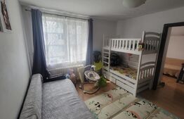 Apartament cu 2 camere, 30 mp, zona Gheorgheni