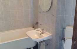 Vanzare apartament 2 camere, 47 mp, parcare, zona strazii Aleea Baisoara