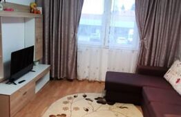 Garsoniera de vanzare, 24 mp, mobilata si utilata 