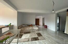 Casa individuala, 150mp utili, 1.000mp teren, finisat la parter