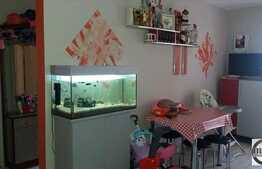 Vanzare apartament 2 camere, 46 mp, parcare, boxa, zona strazii Primaverii