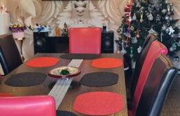 Apartament semidecomandat, 2 camere, boxa, aer conditionat, zona Stejarului