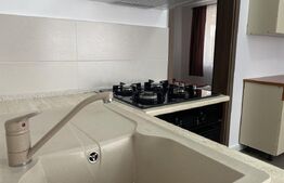 Casa de inchiriat, 2 camere, 80 mp! mobilata/nemobilata, zona Andrei Mureșan 