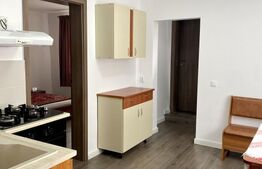 Casa de inchiriat, 2 camere, 80 mp! mobilata/nemobilata, zona Andrei Mureșan 