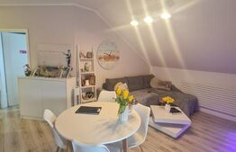 Oportunitate, apartament semidecomandat, terasa, parcare, zona Parcului Poligon