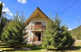Cabană în Poiana Horea, Beliș-Fântanele, 4950 teren