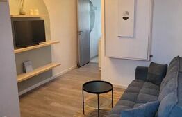 Apartament 1 camera, semidecomandat, 31 mp, zona Iulius Mall