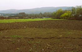 Casa individuala in zona linistita , Radaia (Baciu) 