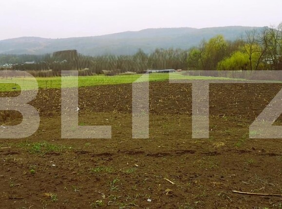 Casa de vânzare 4 camere Baciu - 168372CV | BLITZ Cluj-Napoca | Poza2