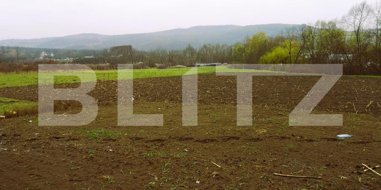 Casa de vânzare 4 camere Baciu - 168372CV | BLITZ Cluj-Napoca | Poza2