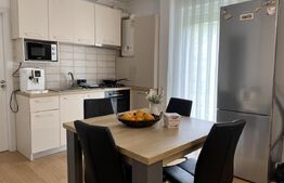 Apartament la cheie, 49 mp utili, gradina, zona BMW