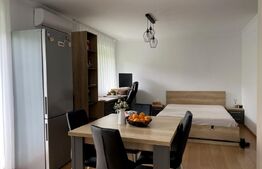 Apartament la cheie, 49 mp utili, gradina, zona BMW