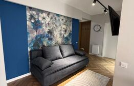 Apartament la cheie, semidecomandat, gradina 10 mp, parcare, zona Terra