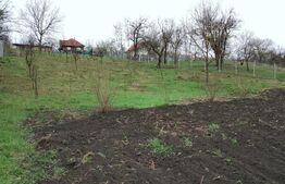 Teren intravilan de vanzare in Calarasi langa Turda!