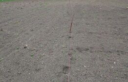 Teren intravilan de vanzare in Calarasi langa Turda!