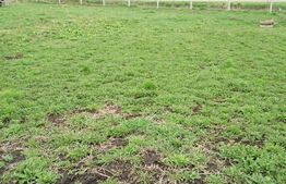 Teren intravilan de vanzare in Calarasi langa Turda!