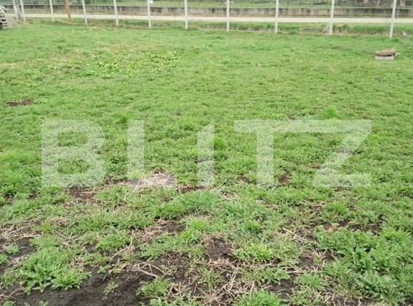 Teren de vânzare Călăraşi - 168494TV | BLITZ Cluj-Napoca | Poza7