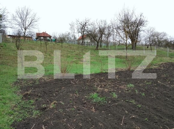 Teren de vânzare Călăraşi - 168494TV | BLITZ Cluj-Napoca | Poza6