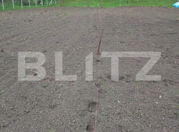 Teren de vânzare Călăraşi - 168494TV | BLITZ Cluj-Napoca | Poza5