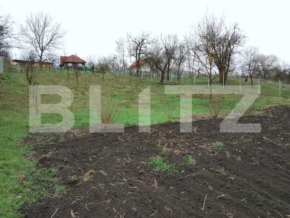 Teren de vânzare Călăraşi - 168494TV | BLITZ Cluj-Napoca | Poza6