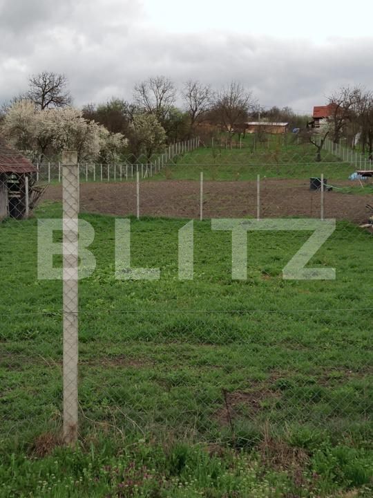 Teren de vânzare Călăraşi - 168494TV | BLITZ Cluj-Napoca | Poza3