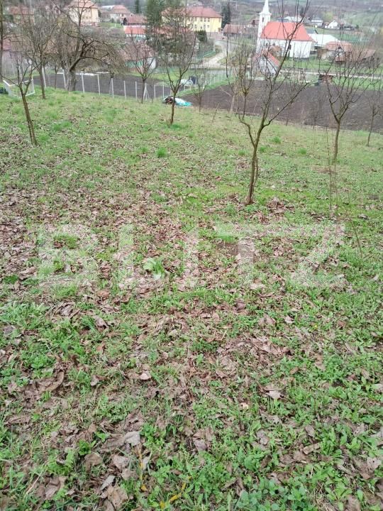 Teren de vânzare Călăraşi - 168494TV | BLITZ Cluj-Napoca | Poza4