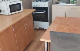 Pachet 2 apartamente  în casă, 3 camere, 70 mp, zona ultracentrala